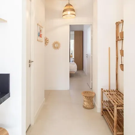 #35 Carlone 5min From The Ac & Terrace Nizza